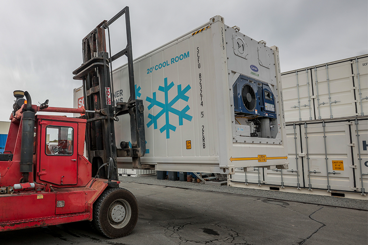 SCF 20ft Reefer on Forklift